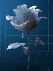 Projekt 3D wzoru Róża Kwiat miłości - 2